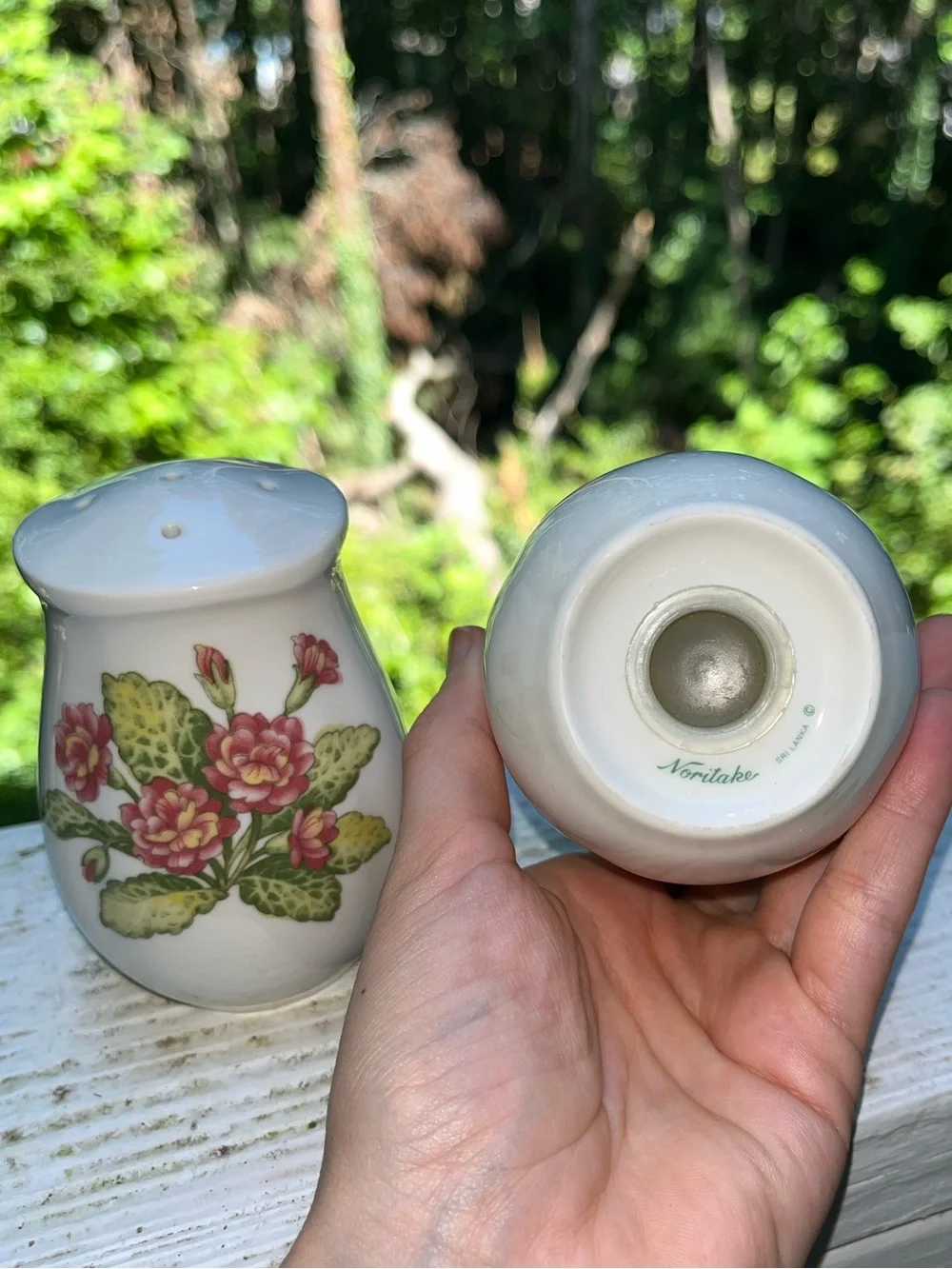 Vintage Noritake Fine China Gourmet Garden Salt & Pepper Shaker Set